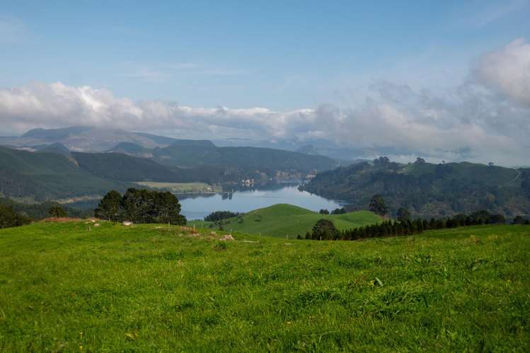 494B Dods Road Waikite Valley_21