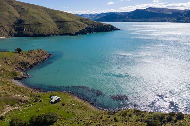 440 Camp Bay Road Port Levy_12