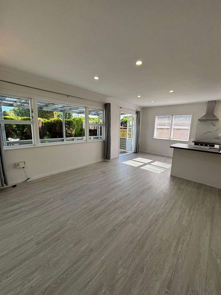56 Landon Avenue Mangere East_2