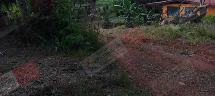 Address withheld Labasa_26