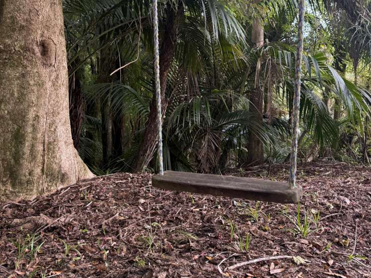 - Waioeka Pa Road Opotiki_6