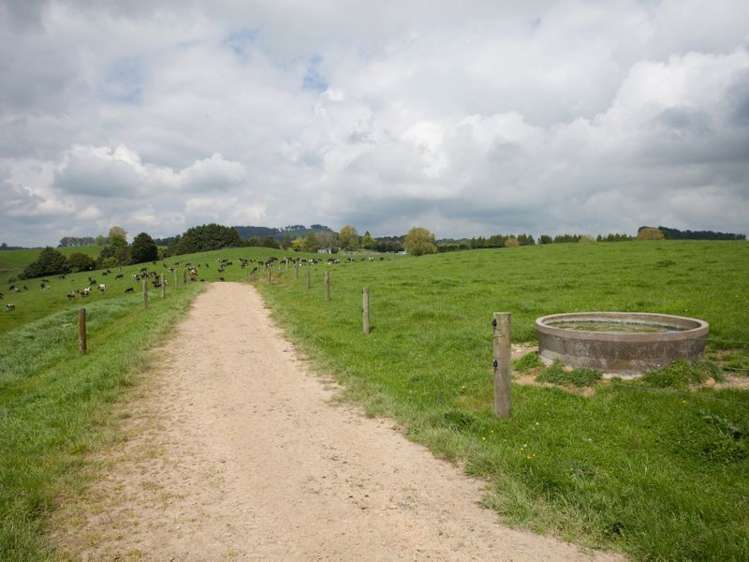 438 Waotu South Road Putaruru_2