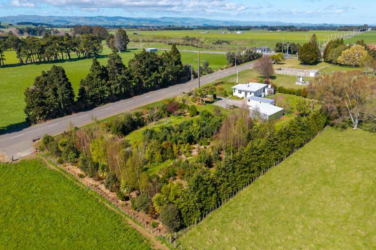 524 Top Grass Road Dannevirke_23