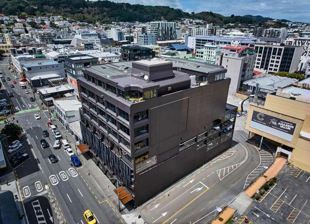 234 Wakefield Street Te Aro_1