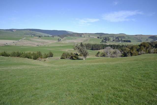 Waitepeka School Road Clutha_4