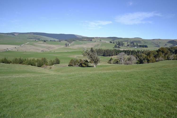 Waitepeka School Road Clutha_4