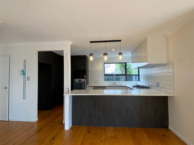 22 Hirimate Place Flat Bush_3