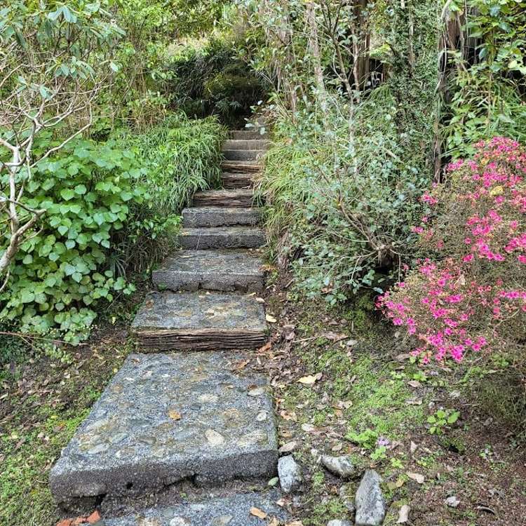 7 Francis Bell Grove Lowry Bay_4