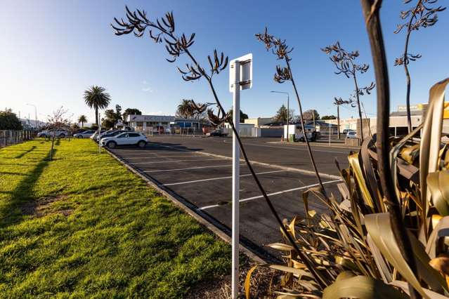 7A Main Street/Park Terrace Blenheim_1