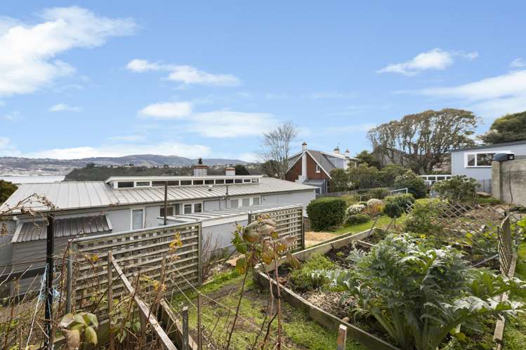 17 Jeffery Street Andersons Bay_26