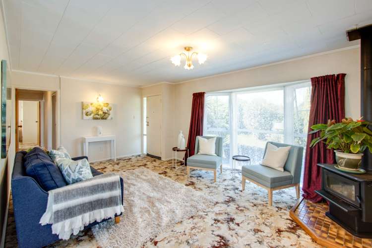 33 Norfolk Street Tamatea_5