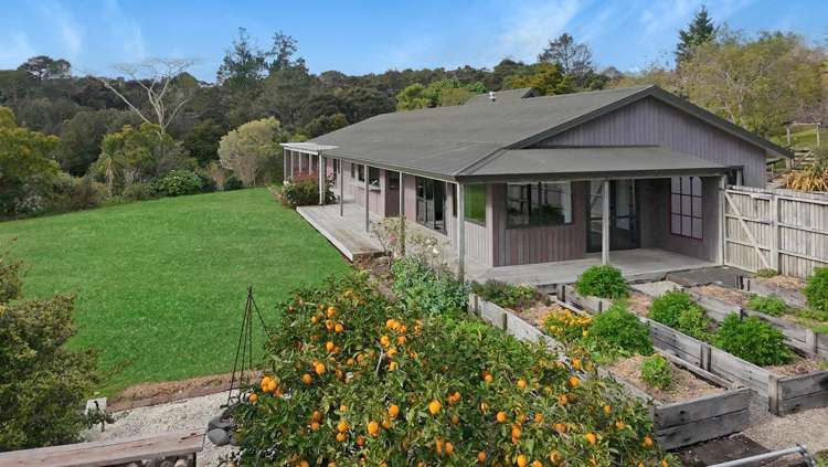 339 Sharp Road Warkworth_0