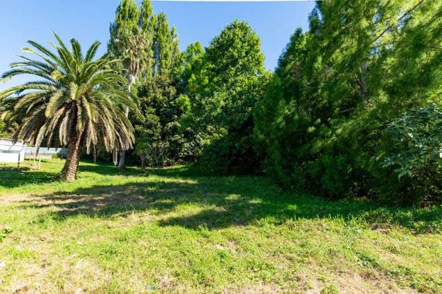 441 State Highway 2 Mangatawhiri_3