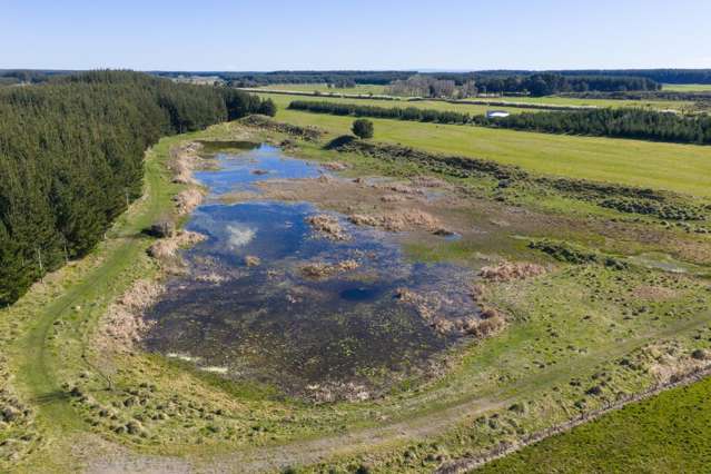 725 Raumai Road Bulls_4