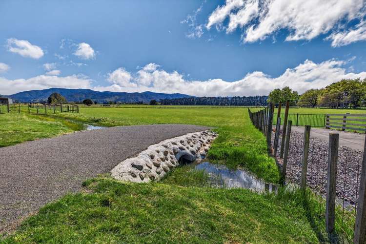 2 / 36A Spencer Lane Greytown_16