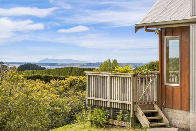 311 Wainui South Road Whakamarama_4