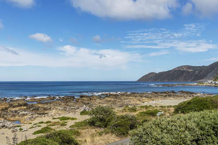 441 The Esplanade Island Bay_20