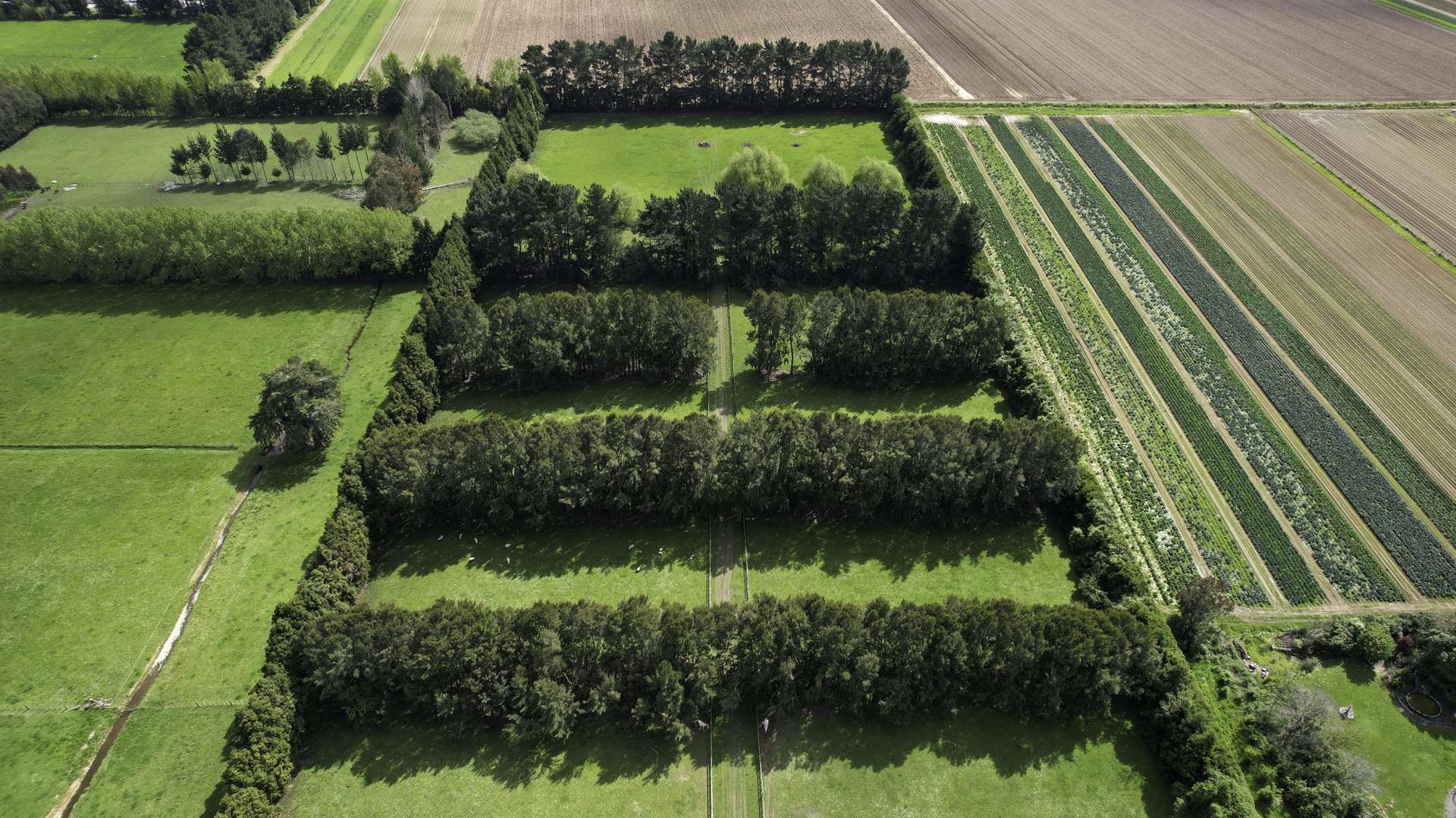 214-222 Bruce Road Levin_0