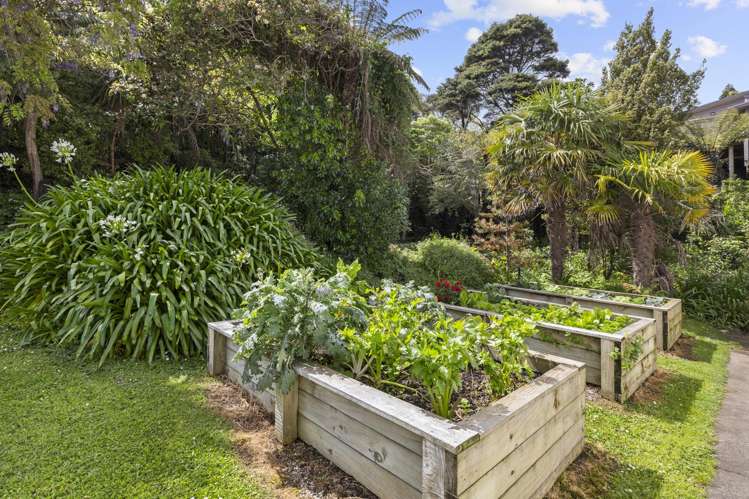 116d Greenslade Road Raglan_32