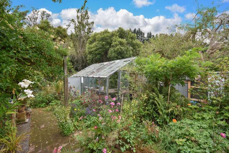 190 Malvern Street Woodhaugh_3