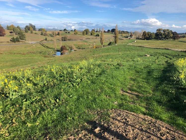 State Highway 3 Waitomo_11