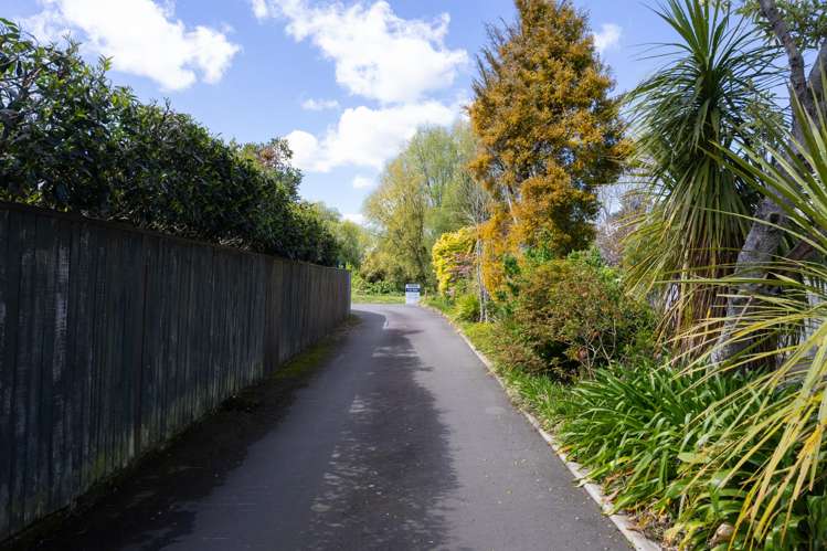 165C Victoria Avenue Hokowhitu_5