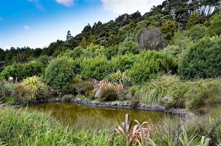 87 Taylor Road Waimauku_29