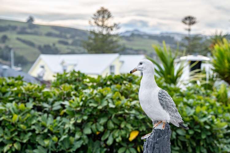 5f Church Street Akaroa_32