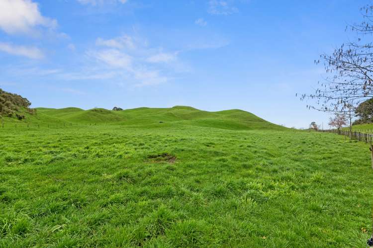 385 Whirinaki Valley Road Ngakuru_20