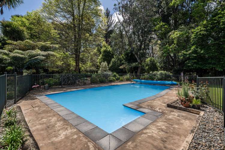 41a Cranmere Drive Tamahere_6