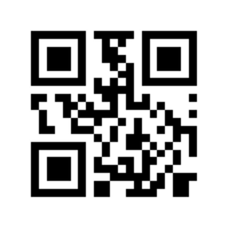 42 Chester Street Taradale_18