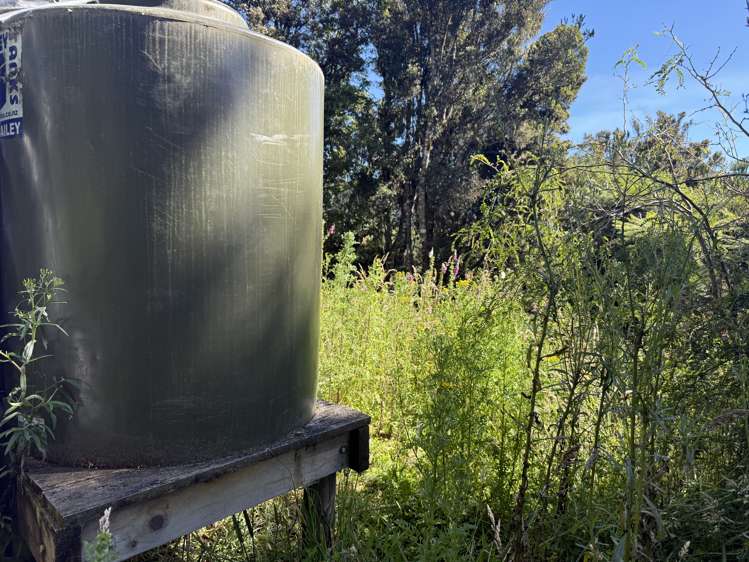 Harrington Mill Road Tahakopa_8