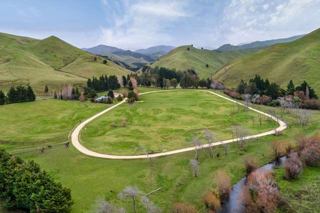 400 Mikimiki Road Mikimiki_2