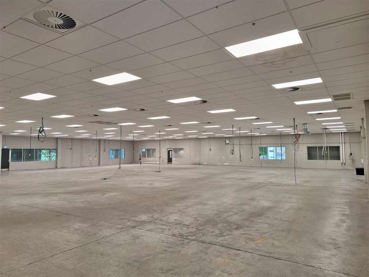 10 Sir William Pickering Drive Burnside_5