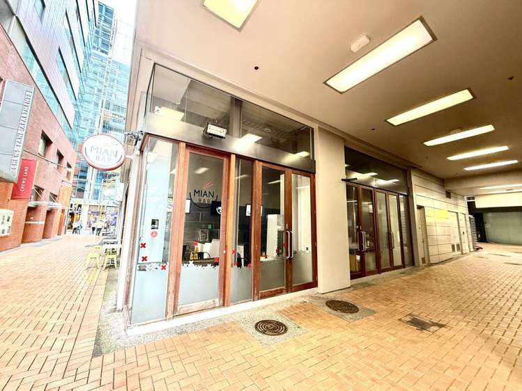 10/14 Chews Lane Wellington Central_1
