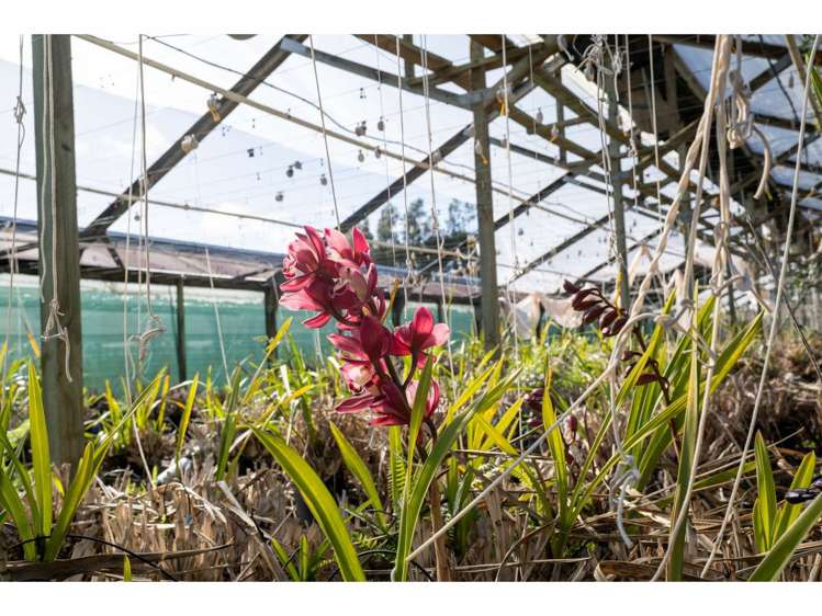 244 Kapiro Road Kerikeri_8