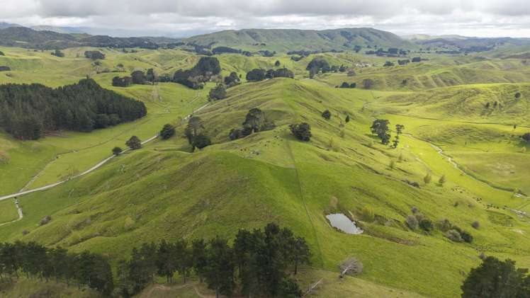 344 North Road Masterton_17
