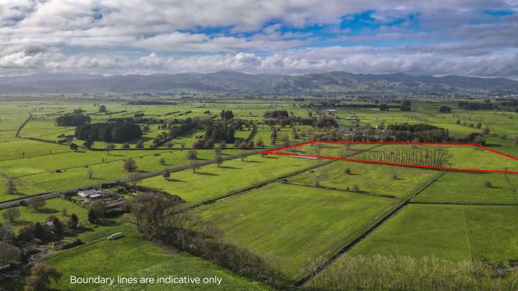 6552 Wilson Road Paeroa_6