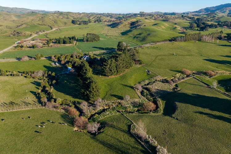 Opaki Kaiparoro, Hastwell Eketahuna_5