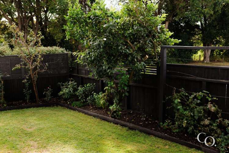 68A Hammond Street Hairini_18