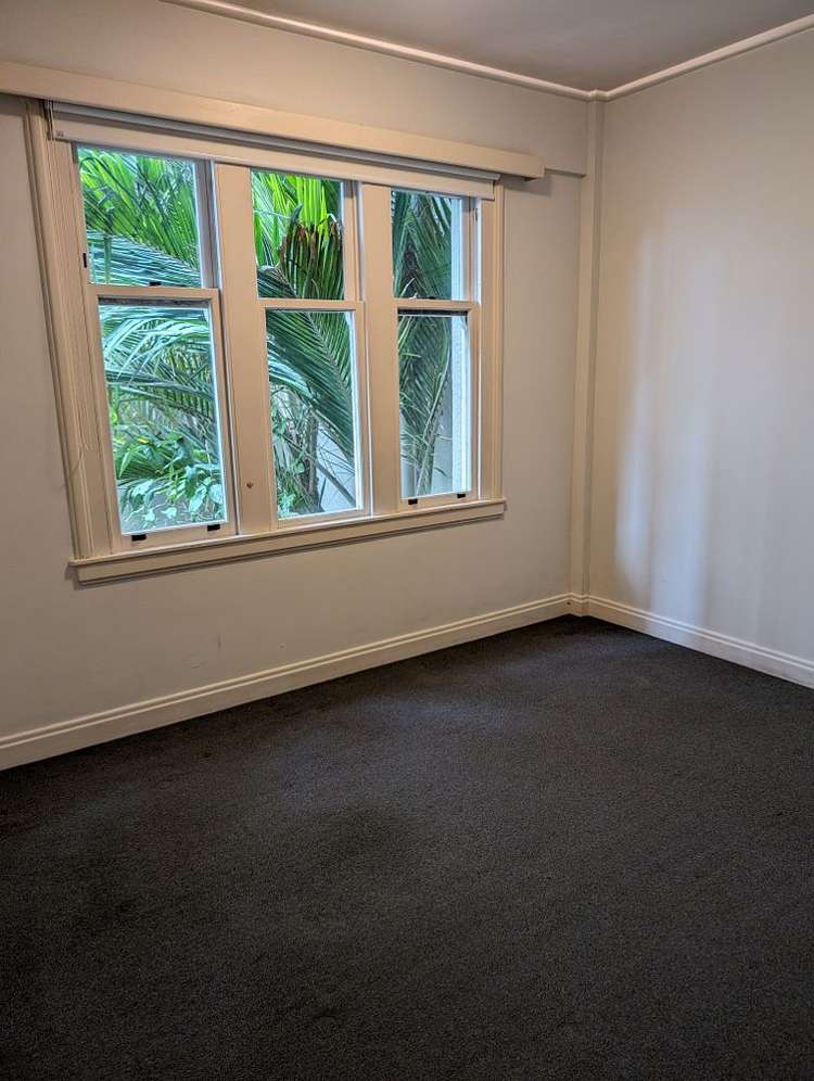 17b Whitaker Place Grafton_11