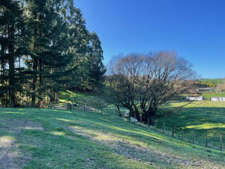 Lot 1and2 324 Homewood Road Waipawa_17