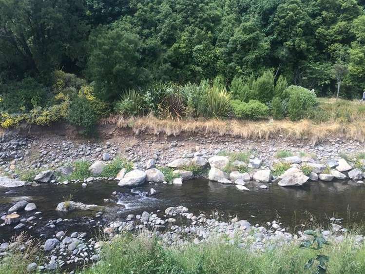 493f Leith Street North Dunedin_8