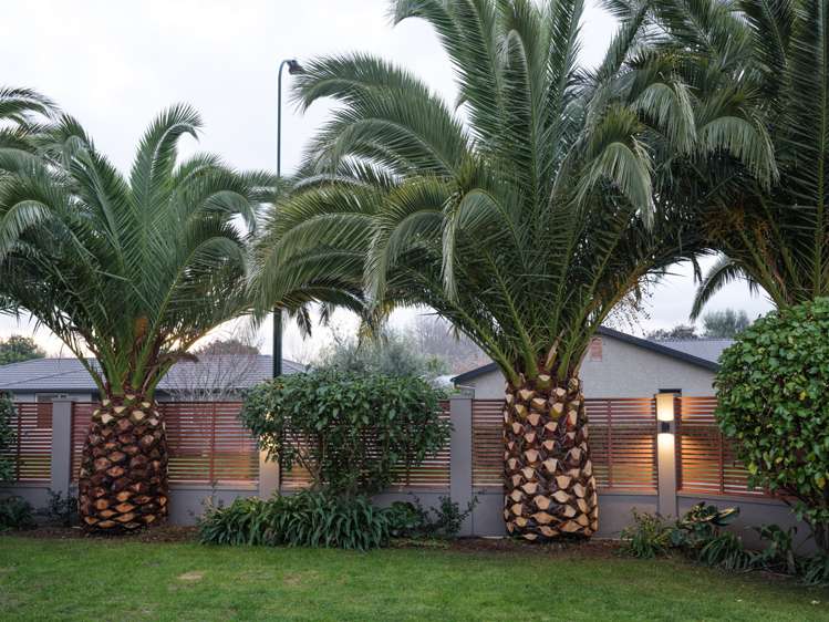 8 Woodfield Place Parkvale_20