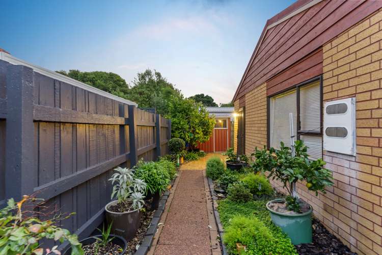 12 Tui Street Point Chevalier_14