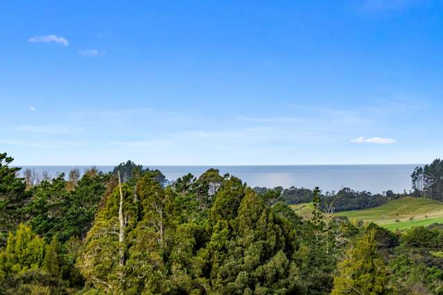 181 Govan Wilson Road Matakana_3