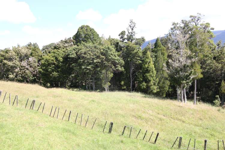 109 Paponga Road Broadwood_17