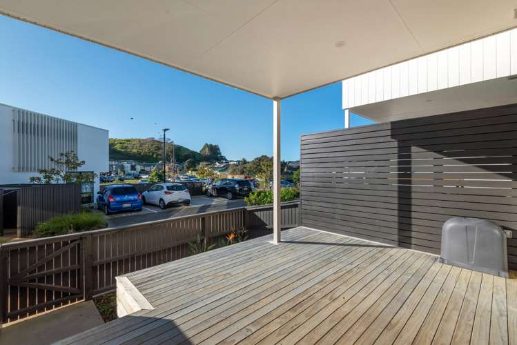 19c Freeland Avenue Mount Roskill_9