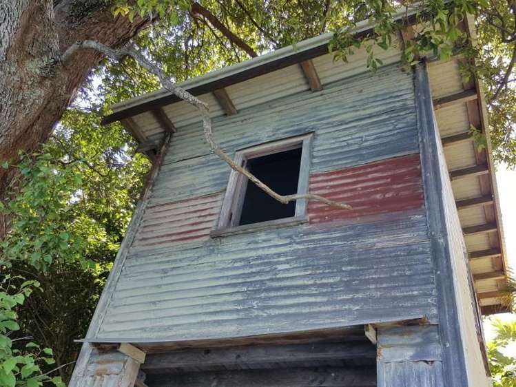 56 Stout Street Whataupoko_14