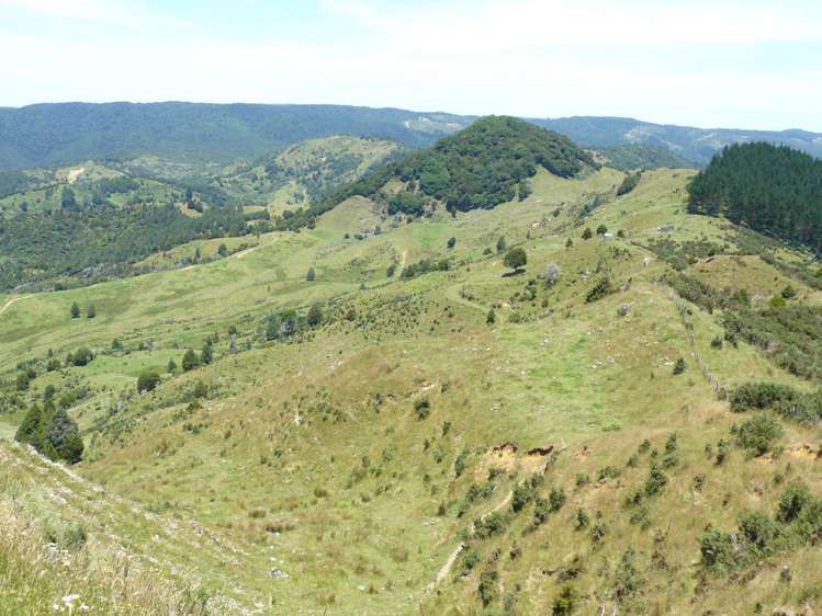 213 Matawherohia Road Kaeo_8